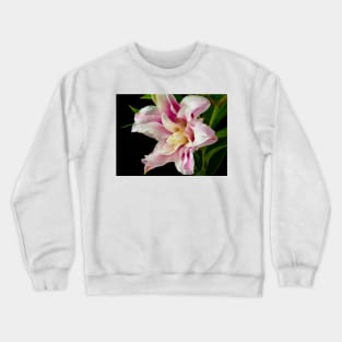 Pink And White Rose Lily Crewneck Sweatshirt